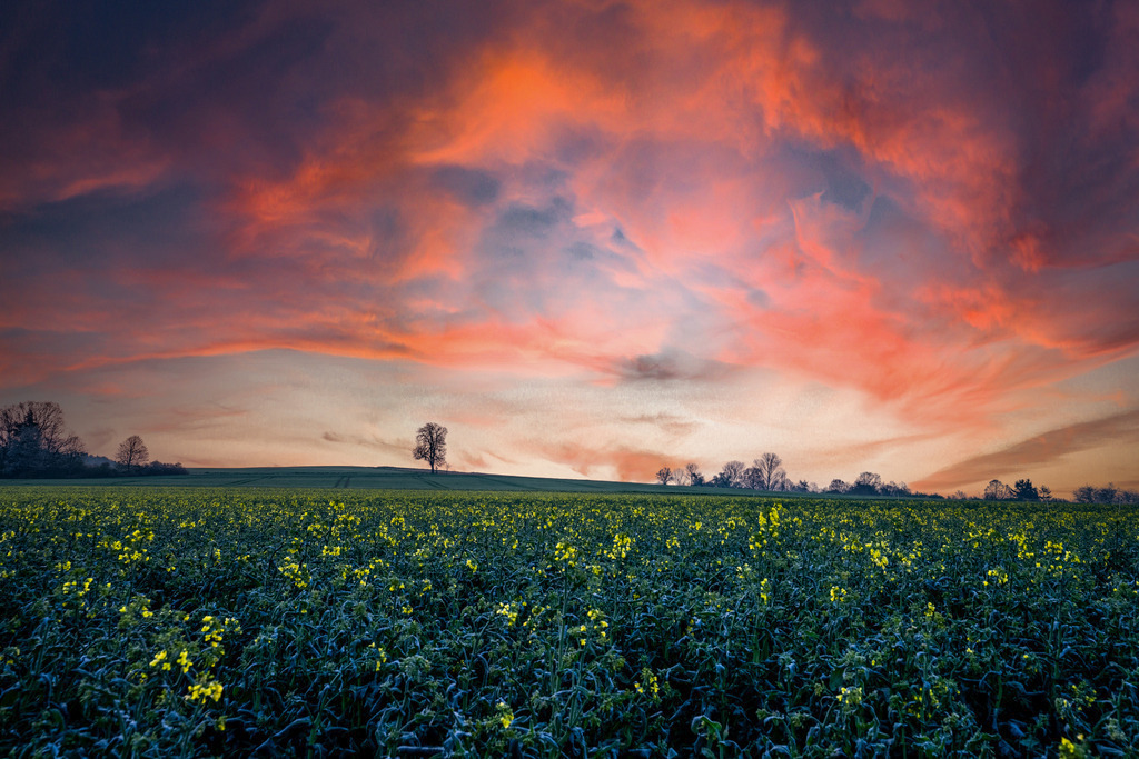 _DSC9711-HDR | <meta name="keywords" content="Bergbilder, Hochzeitsfotografie, Actionshootings, Fotografiearbeiten, Berglandschaften, Naturfotografie">

 - Realisiert mit Pictrs.com
