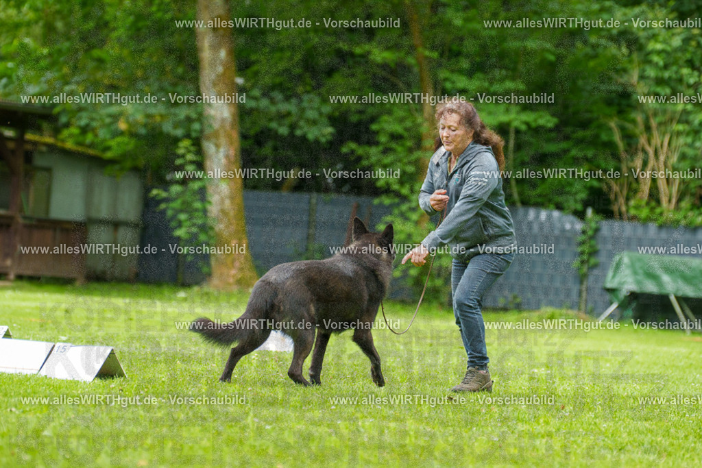 @allesWIRTHgut_Tierfotografie - www.allesWIRTHgut.de - 135640-7R500216 | Professionelle Tierfotografie in Mönchengladbach von Daniel Wirth (allesWIRTHgut). Liebevolle & natürliche Bilder von Hunden & Katzen für unvergessliche Erinnerungen.