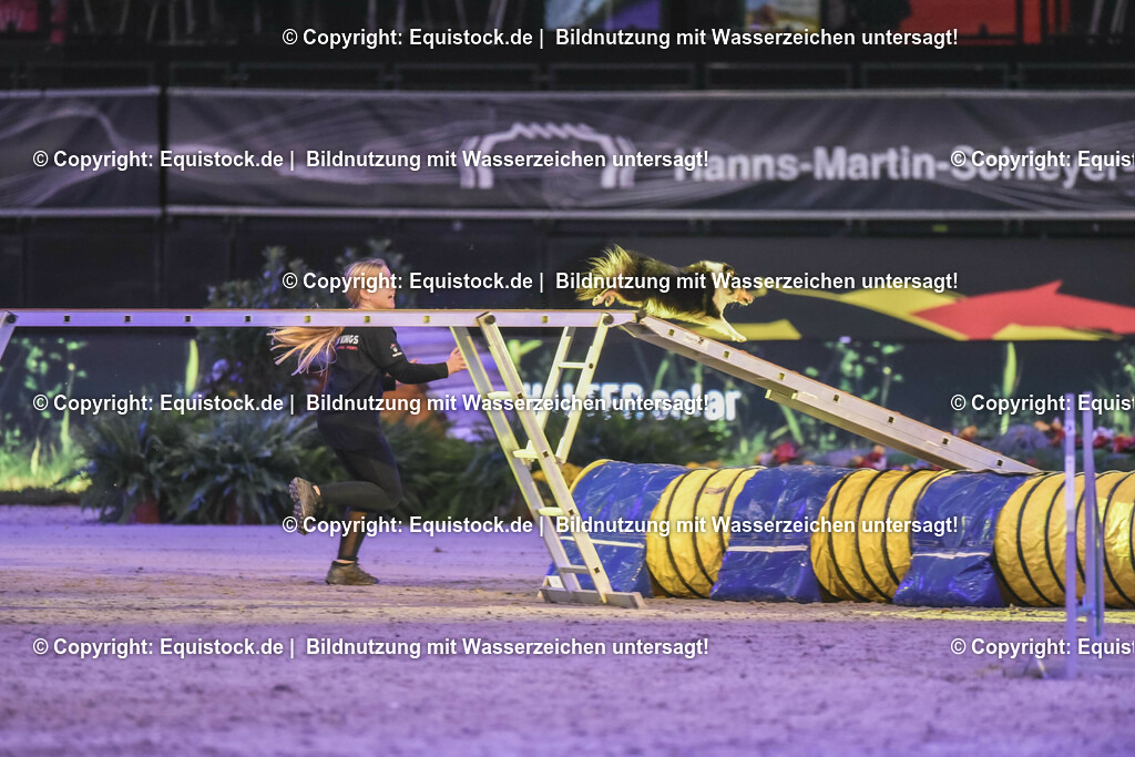 20231115_Dog-Agility_0195_TOMsPiC | Foto: Thomas Hartig