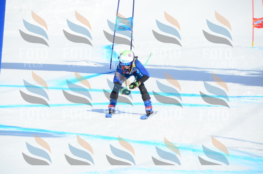 DSC_0417 | holidayphoto