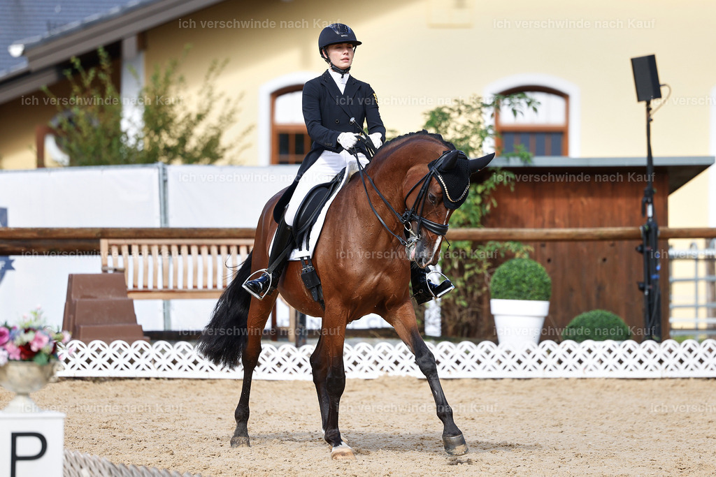 07-003-DRESSUR  S___  -StoibPH-5072 | working equitationturnier fotograf videograf stoibphotography marixx film working equitation deutschland reitsport turnierfotografie eventfotografie equestrian events