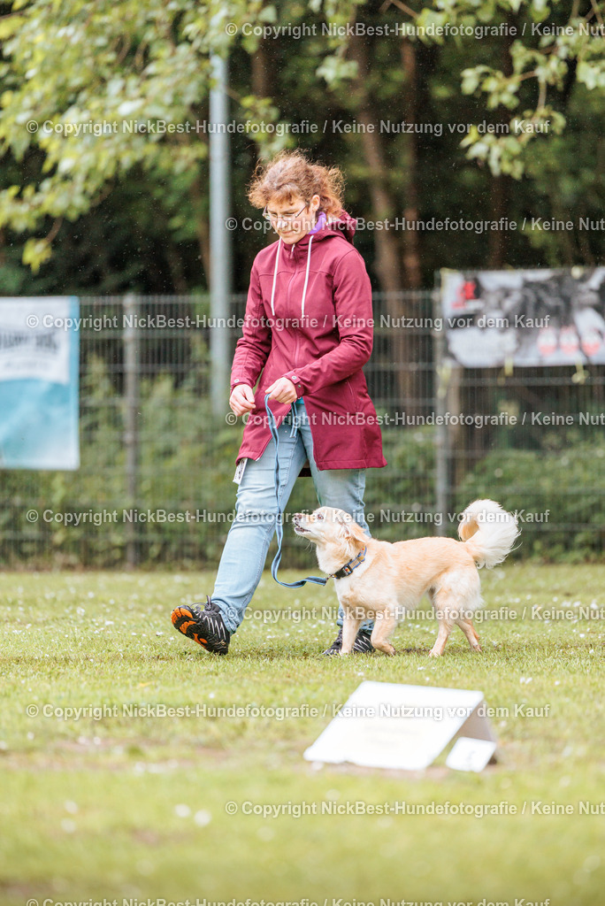 RO-Blumenthal-2026-Nickbest-Hundefotografie-0629 | Dein Hund! Dein Moment! Deine Erinnerungen! Hundefotografie in Bremen Blumenthal. Ich fange die besonderen Momente deines Vierbeiners ein – ob Indoor mit Blitzanlage oder in der freien Natur. Sicher dir dein Moment und dein Termin für eure Erinnerungen.
