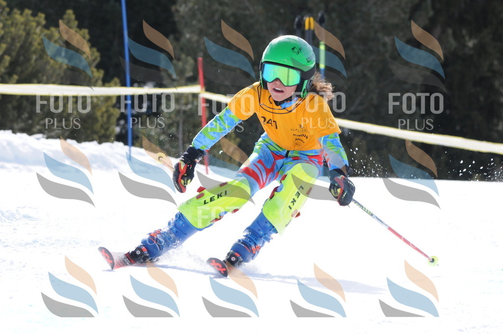 C8817 | holidayphoto