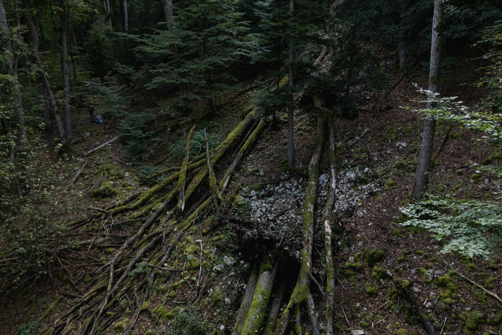 ZD250916101204-3 | default