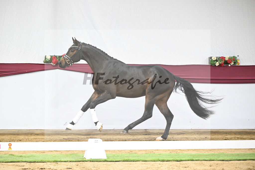 Kat-Nr. 21 St. Emilion x Quantensprung_Marianne Jerich_47250686 | hf-fotografie - Realisiert mit Pictrs.com