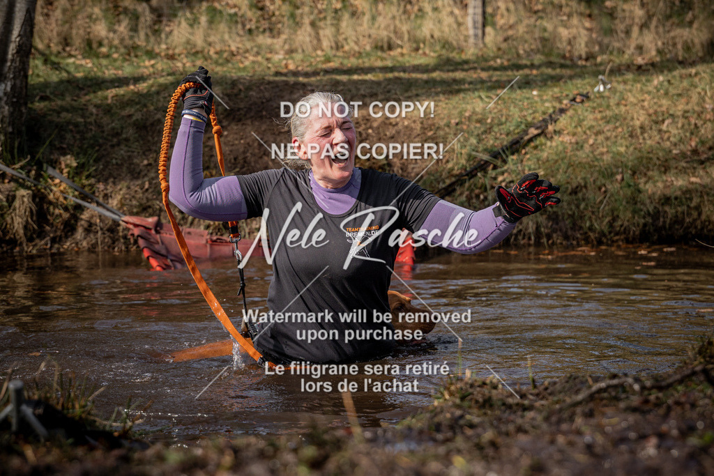 nelerasche_FS1330-1400_304 | nelerasche