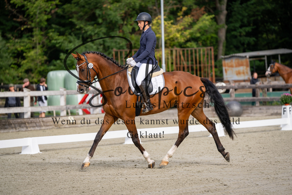 A7V06799 | Turnier/Reitfotograf