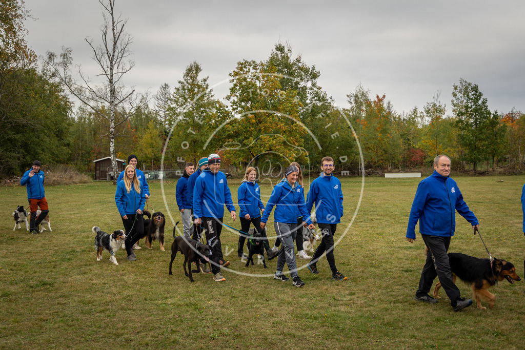 Pfotenfotografie_0L8A0298 | Hundefotografie, Tierfotograf, Pfotenfotografie, Fotoshooting Hund, Hunde Portrait, Hundesport, Hundeportraits, Heideshooting, Hunde, Sportfotograf, Hundefotograf, Turnierhundsport, THS,  - Realisiert mit Pictrs.com