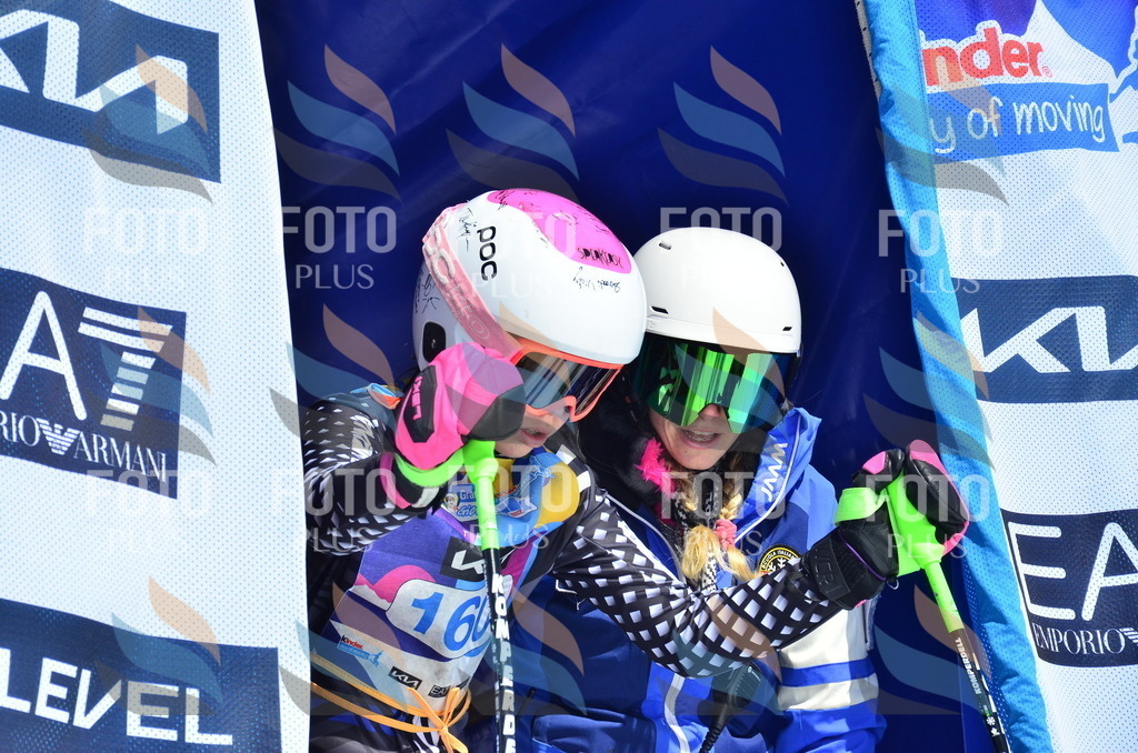 _ELE1067 | holidayphoto