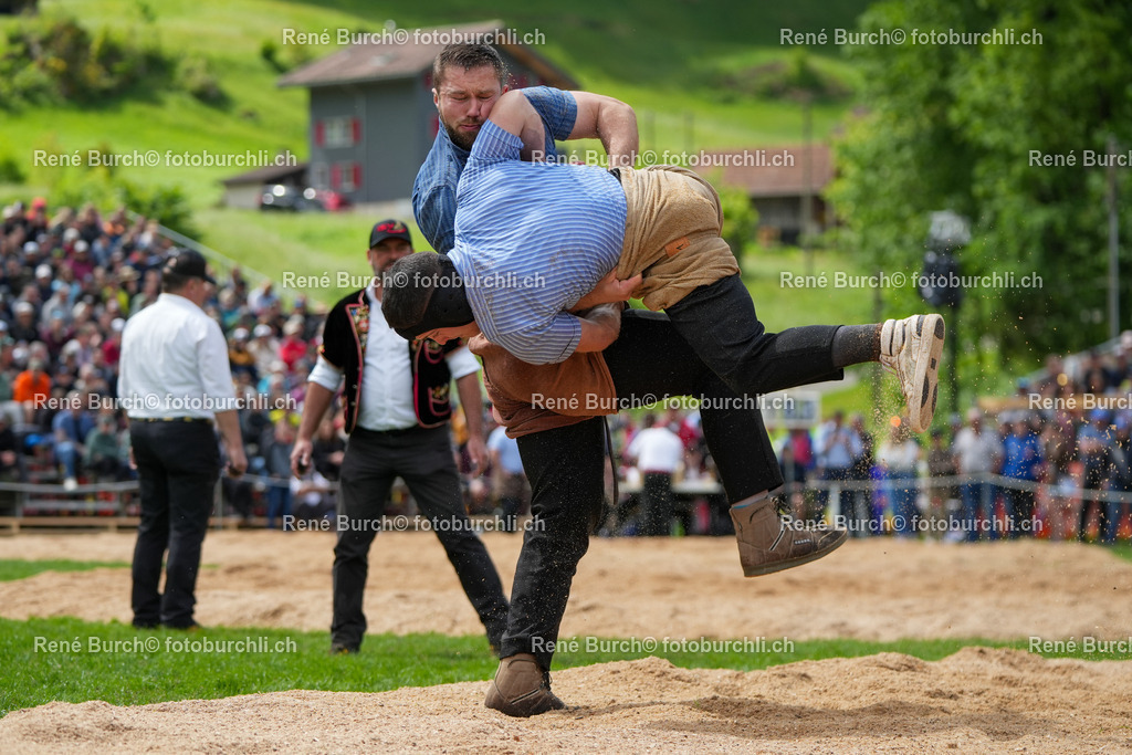 RB-09535 | René Burch leidenschaftlicher Fotograf aus Kerns in Obwalden.  Hier finden sie Sport, Landschaft und Natur Fotografie.
 - Realisiert mit Pictrs.com