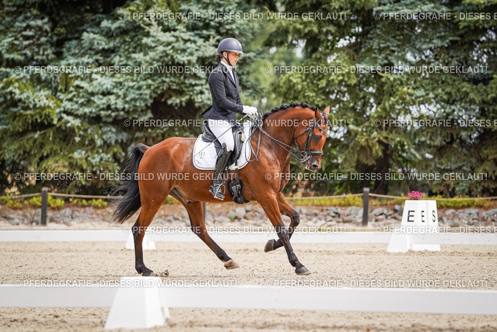 DSC03733 | Pferdegrafie