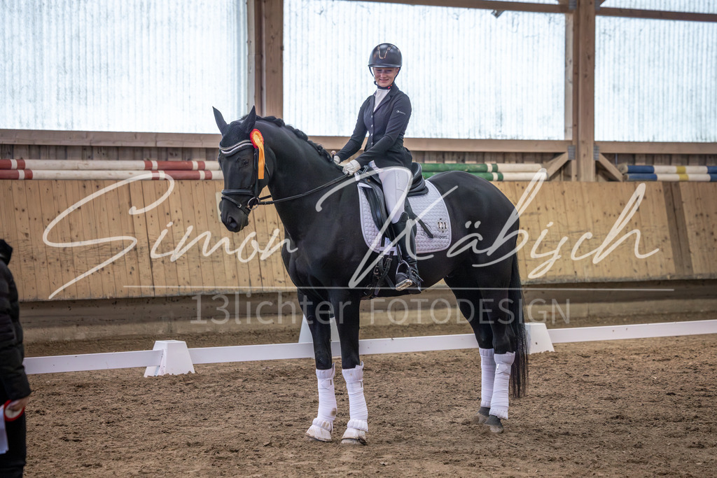 20251011-_3LI2215 | Tierfotografie Pferde, Hunde, Katzen, Haustiere.
Turnierfotografie Reitturniere, Reiten, Springreiten, Dressur in Hanau, dem Main-Kinzig-Kreis und dem Rhein-Main- Gebiet um Frankfurt