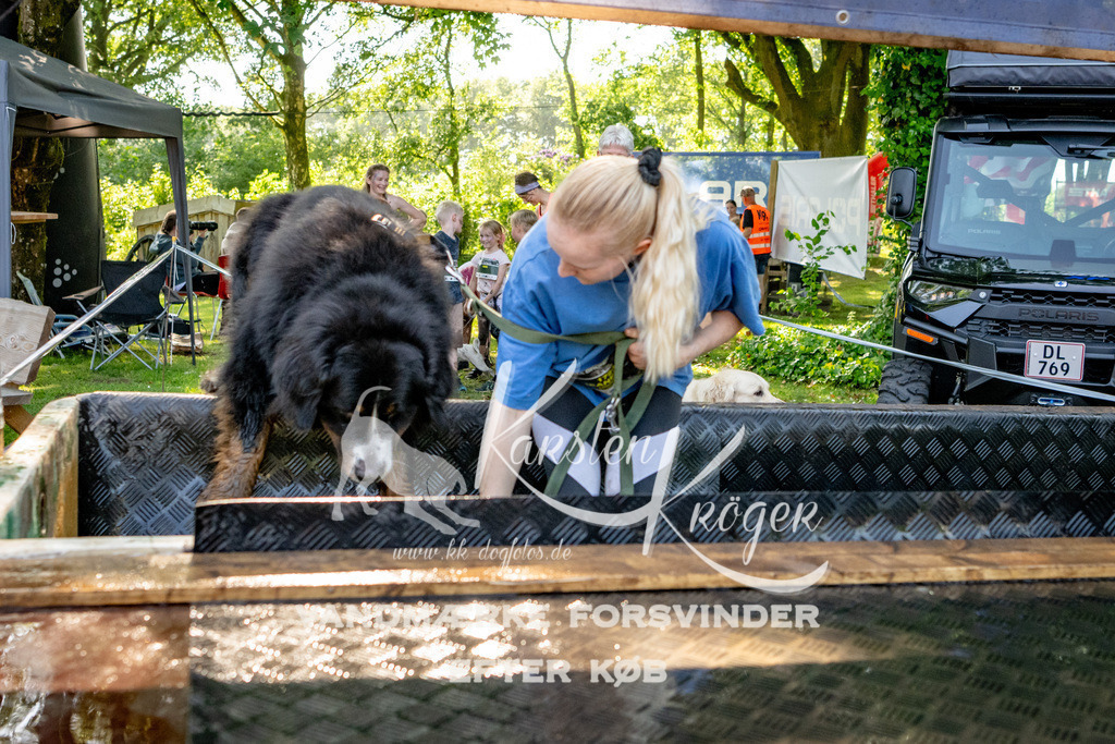 1549_ZZ90195 | kk-dogfotos