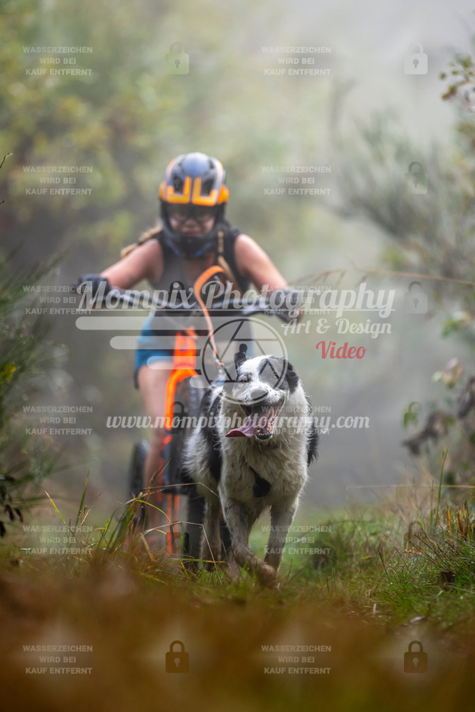 MompixPhotography_20TSB_E4_DS1-58 | PayLife