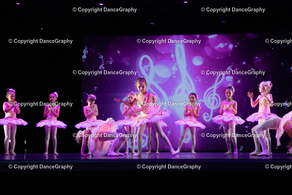 GPHY6137 | DanceGraphy - Realisiert mit Pictrs.com