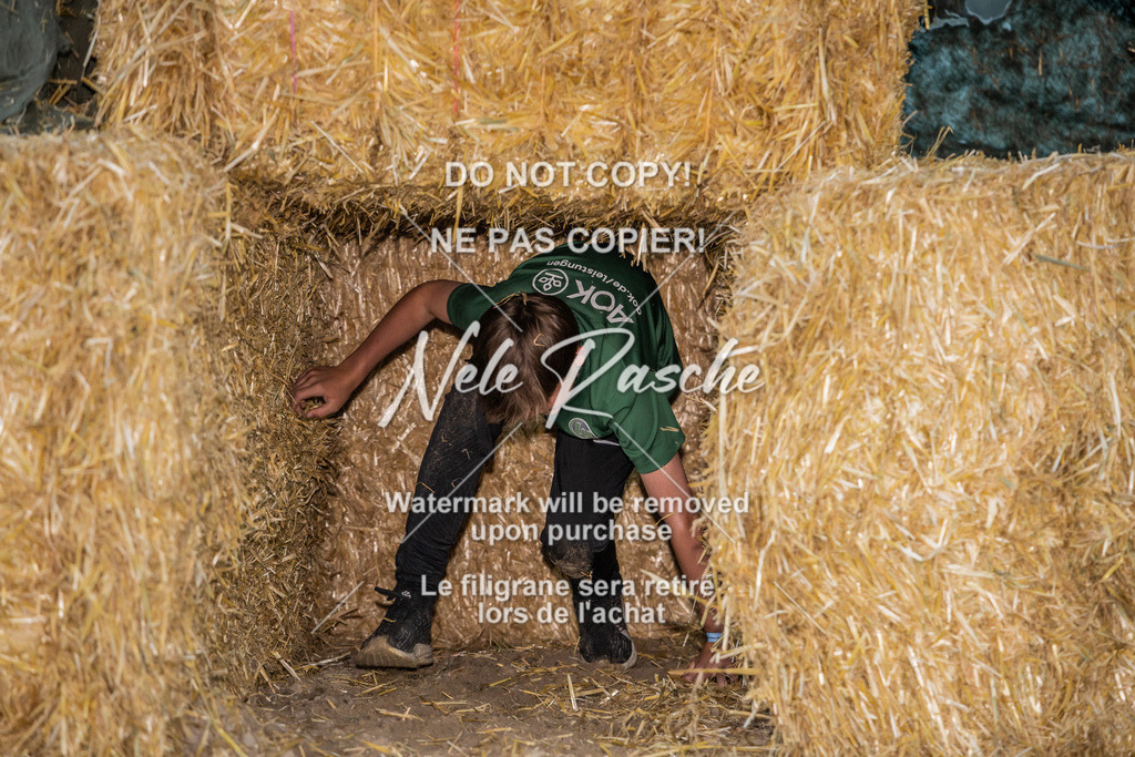 nelerasche_FrNacht_100 | nelerasche