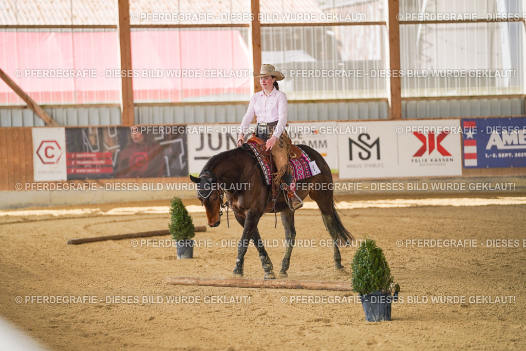 DSC06824 | Pferdegrafie