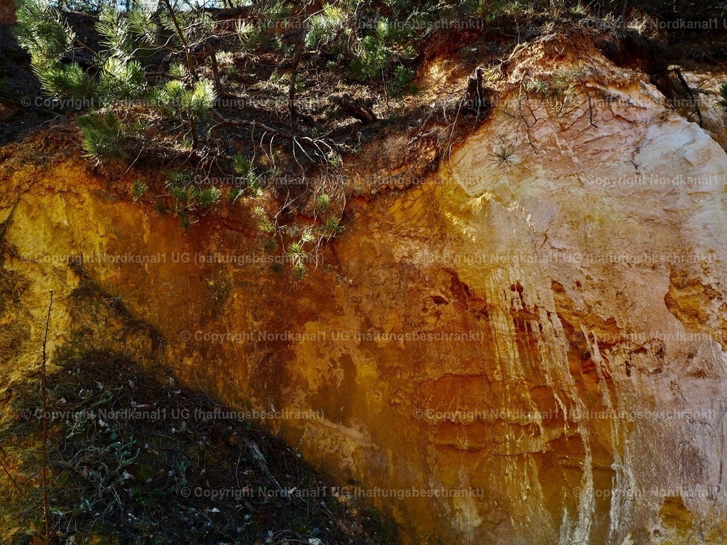 IMG_2893 | OLYMPUS DIGITAL CAMERA          - Realisiert mit Pictrs.com