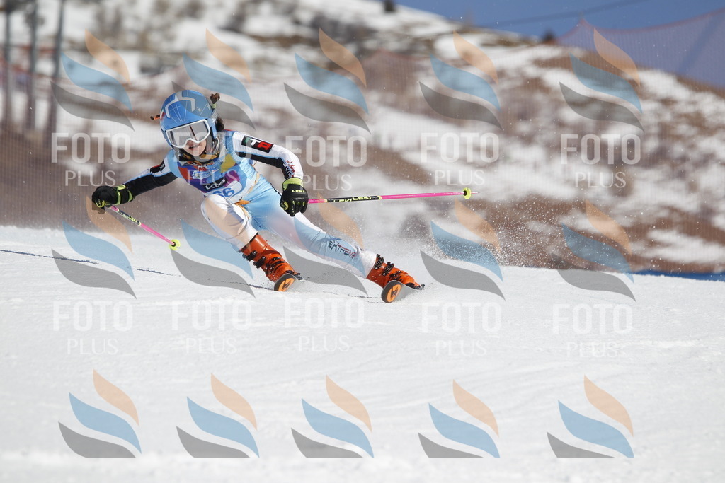 _U3G9732 | holidayphoto