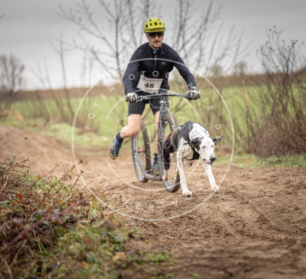 DV3A9218 | Hundefotografie, Tierfotograf, Pfotenfotografie, Fotoshooting Hund, Hunde Portrait, Hundesport, Hundeportraits, Heideshooting, Hunde, Sportfotograf, Hundefotograf, Turnierhundsport, THS,  - Realisiert mit Pictrs.com