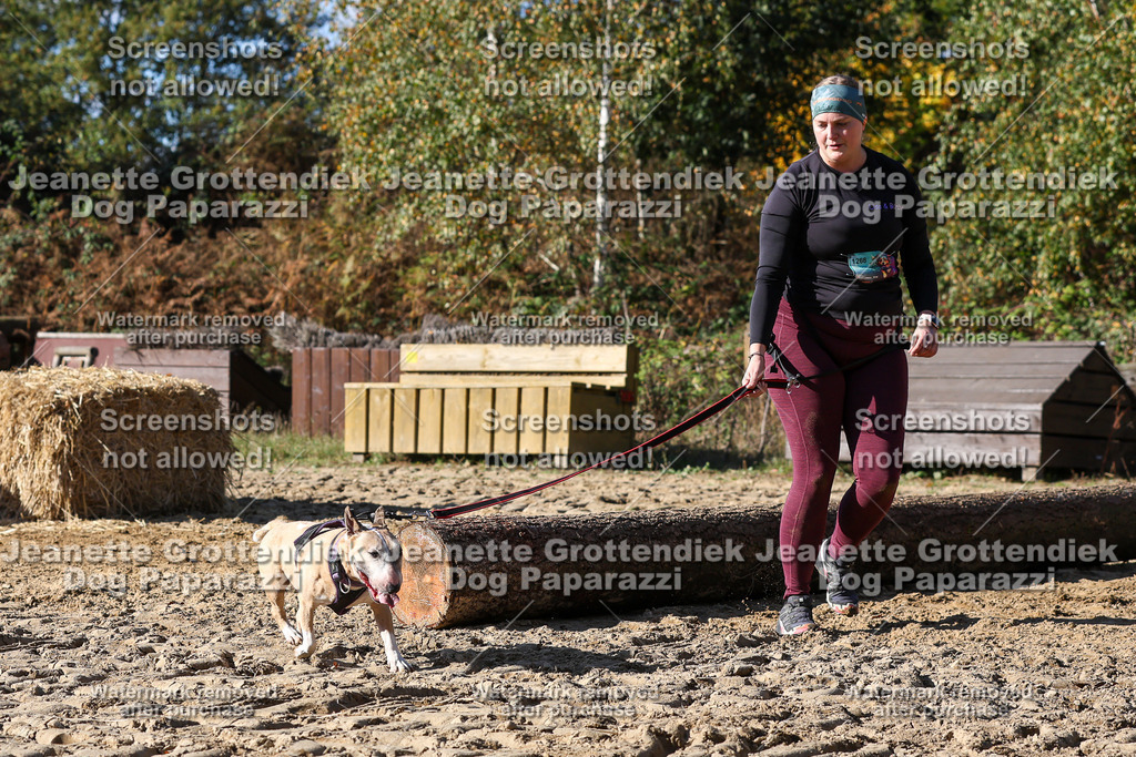 Dog Paparazzi - Strongdog 10-25-4654 | Dog Paparazzi Jeanette Grottendiek Fotografie & Videografie - Realisiert mit Pictrs.com