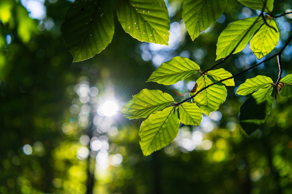2022_10_09_HH-JENISCH-PARK_MCP4872 | Hochwertig gedruckte Fotografien für die Wand, als Kalender und zum Verschenken. Hamburg & Norddeutschland und überall wo ich mit der Kamera unterwegs war.