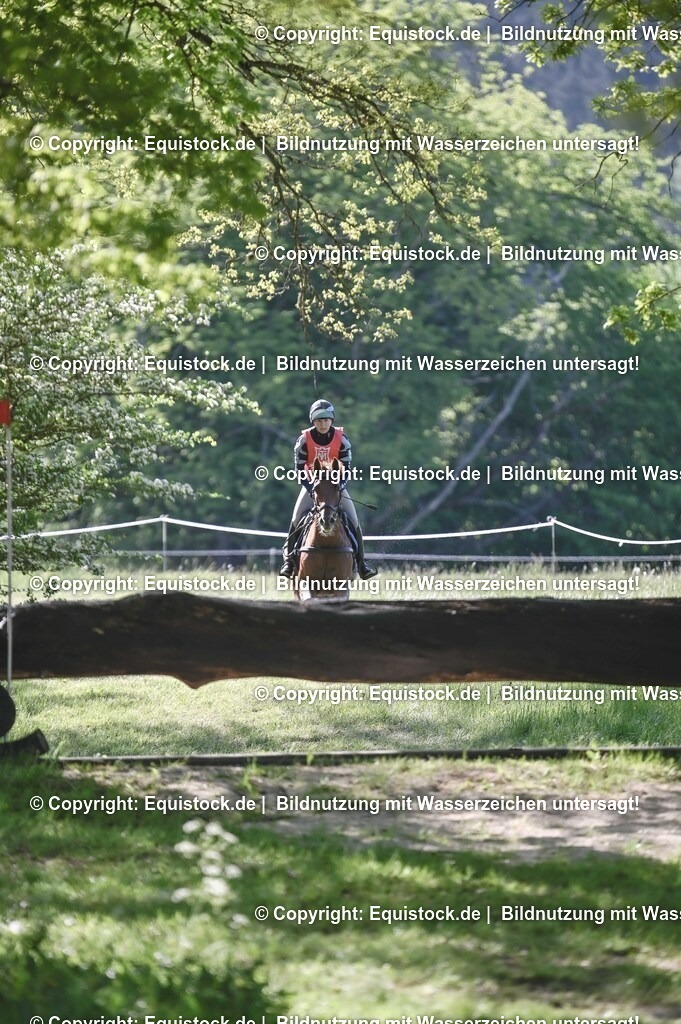 20250517_CCI2_Gelände_0675 | Foto: Thomas Hartig