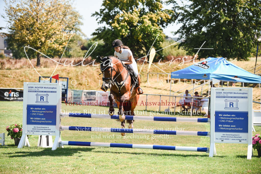 DSC_2825 | Pferde- und Turnierfotografie in Westsachsen. Pferdeportraits, Auftragszeichnungen und intuitive Kunst.