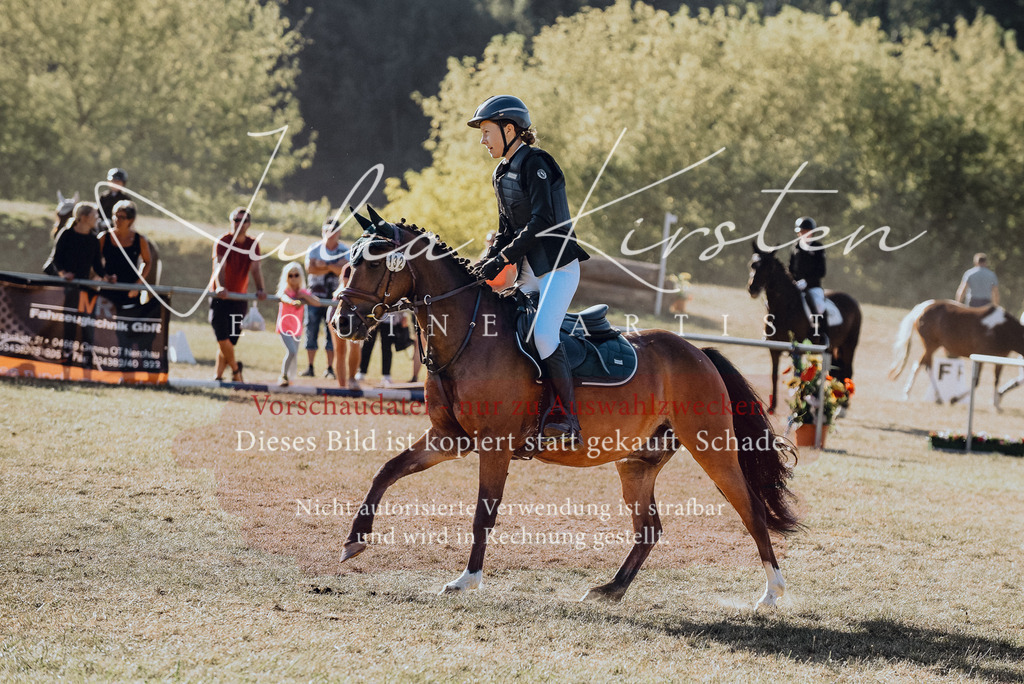DSC_5540 | Pferde- und Turnierfotografie in Westsachsen. Pferdeportraits, Auftragszeichnungen und intuitive Kunst.