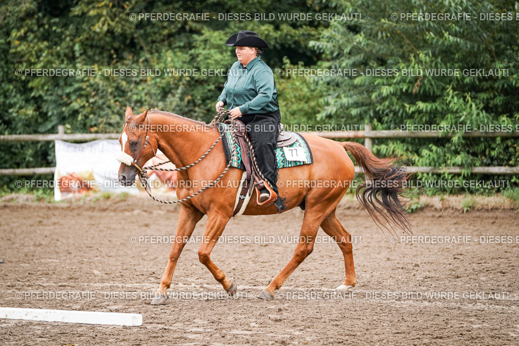 DSC02869 | Pferdegrafie