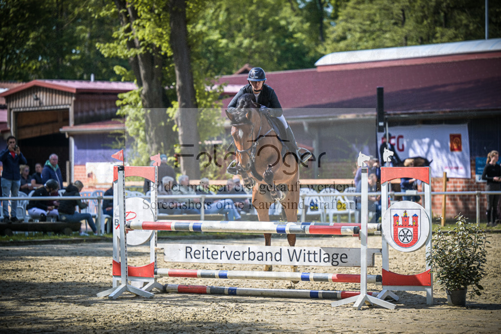 DOS_7461 | Entdecke hochwertige Reitturnierfotos von Foto Oger. Professionell, emotional und authentisch – jetzt Lieblingsmomente im Shop bestellen.Deutschlandweite Turnierfotografie. - Realisiert mit Pictrs.com
