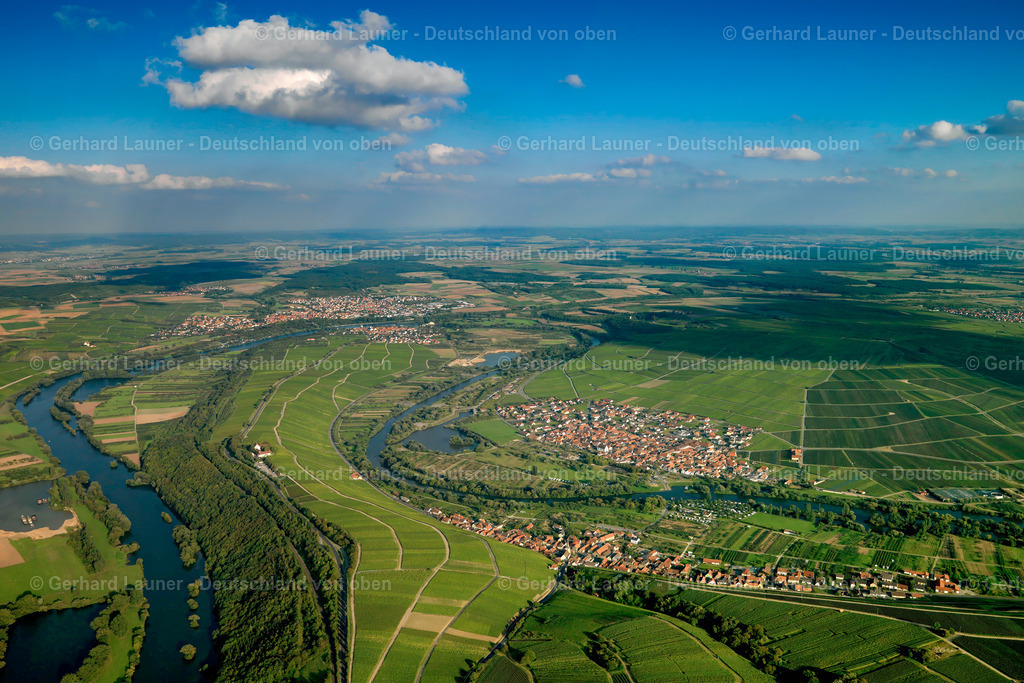 2784503 | Weinberge an der Mainschleife zw. Escherndorf und Volkach