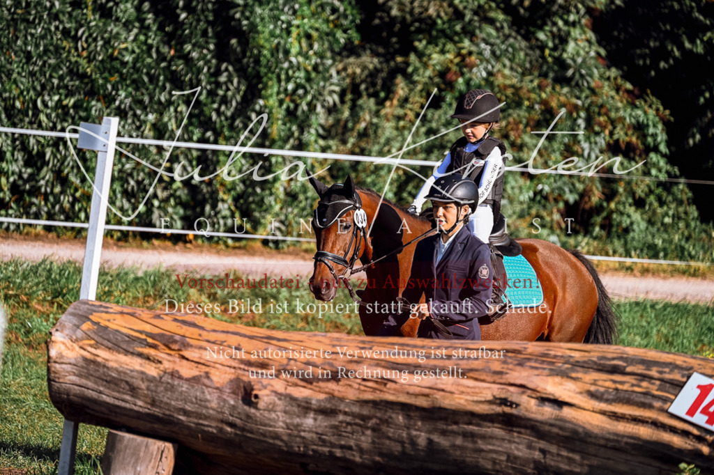 DSC_0291 | Pferde- und Turnierfotografie in Westsachsen. Pferdeportraits, Auftragszeichnungen und intuitive Kunst.