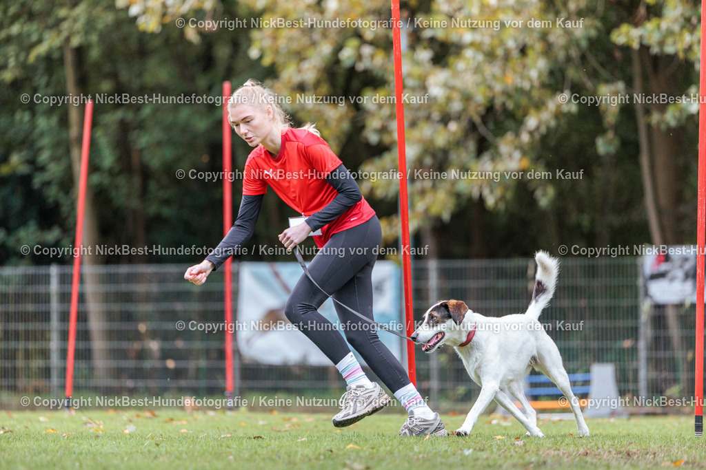 THS-HSV-Blumenthal-2026-Nickbest-Hundefotografie-1995 | Dein Hund! Dein Moment! Deine Erinnerungen! Hundefotografie in Bremen Blumenthal. Ich fange die besonderen Momente deines Vierbeiners ein – ob Indoor mit Blitzanlage oder in der freien Natur. Sicher dir dein Moment und dein Termin für eure Erinnerungen.