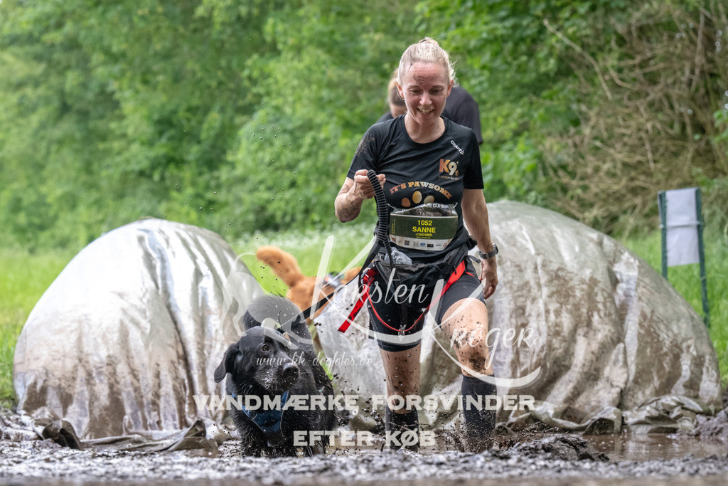 1256_ZZ94265 | kk-dogfotos