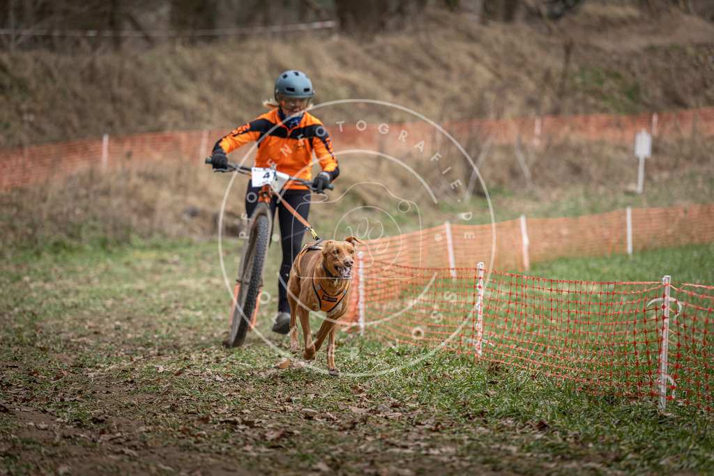 Pfotenfotografie_DV3A0431 | Hundefotografie, Tierfotograf, Pfotenfotografie, Fotoshooting Hund, Hunde Portrait, Hundesport, Hundeportraits, Heideshooting, Hunde, Sportfotograf, Hundefotograf, Turnierhundsport, THS,  - Realisiert mit Pictrs.com