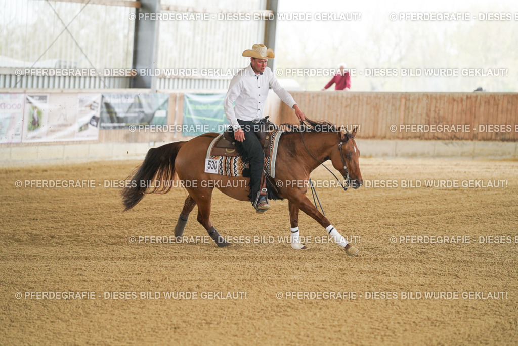 DSC06849 | Pferdegrafie