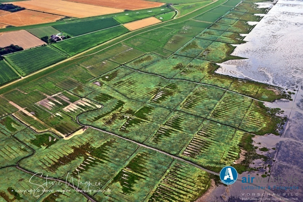 Luftbilder Neu-Augustenkoog | Die Einwohnerschaft des ehemaligen Augustenkoog, zu dem auch Neu-Augustenkoog gehörte, ist seit Jahrzehnten stark rückläufig, von 97 Einwohnern 1939 auf 58 im Jahr 1988 und schließlich auf 36 Personen zurzeit.