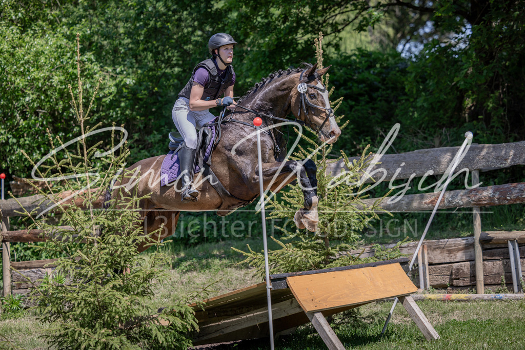 20260523-_3LI8866 | Tierfotografie Pferde, Hunde, Katzen, Haustiere.
Turnierfotografie Reitturniere, Reiten, Springreiten, Dressur in Hanau, dem Main-Kinzig-Kreis und dem Rhein-Main- Gebiet um Frankfurt