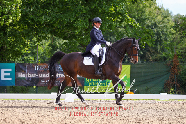 DKP41469 | Turnierfotos kaufen im Webshop von Daniel Kuhl Photography – entdecke professionelle Reitsportfotos aus Turnieren & Events. Hochwertige Turnierbilder online bestellen & sichern. Jetzt Fotos von Reitsportturnieren kaufen!