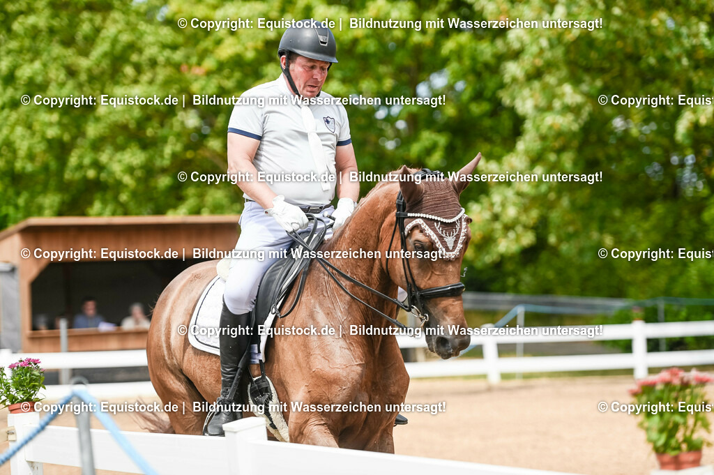 20230716_01_Dressurprüfung Kl.M_0097 | equistock