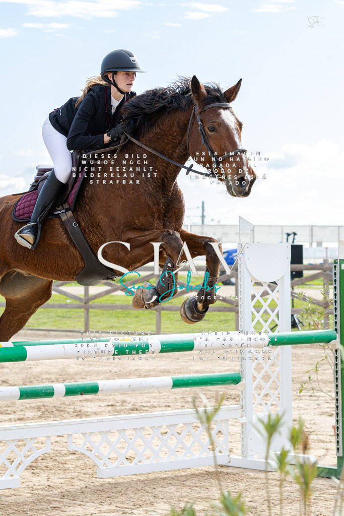 IMG_2472 | s-jay-photography - Realisiert mit Pictrs.com