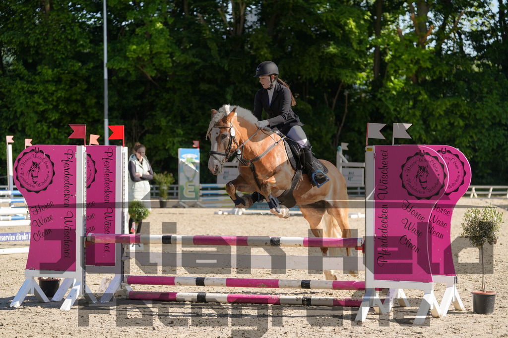 DSC02030 | Julian Held Fotografie - Realisiert mit Pictrs.com