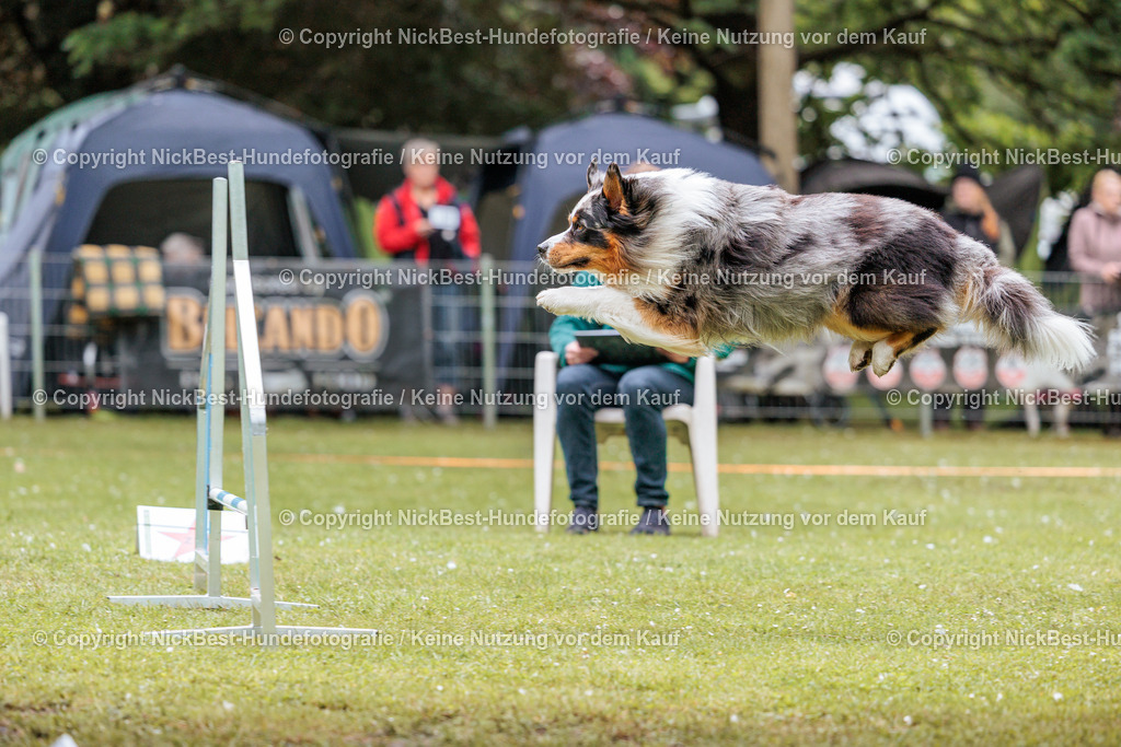RO-Blumenthal-2026-Nickbest-Hundefotografie-2492 | Dein Hund! Dein Moment! Deine Erinnerungen! Hundefotografie in Bremen Blumenthal. Ich fange die besonderen Momente deines Vierbeiners ein – ob Indoor mit Blitzanlage oder in der freien Natur. Sicher dir dein Moment und dein Termin für eure Erinnerungen.