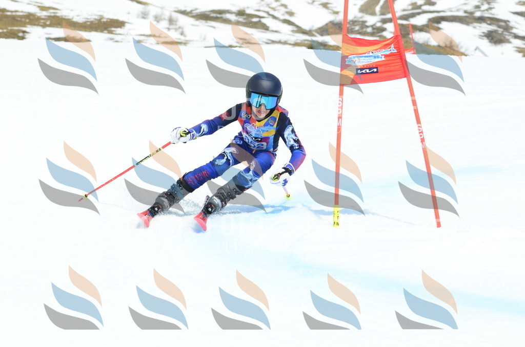 _ELE2701 | holidayphoto