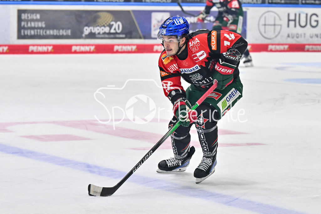 Augsburger Panther - Iserlohn Roosters | am PUck D. J. BUSDEKER (Augsburger Panther #14) / Freisteller / Einzelfoto / DEL: Augsburger Panther - Iserlohn Roosters, Curt Frenzel Stadion am 17.11.2024