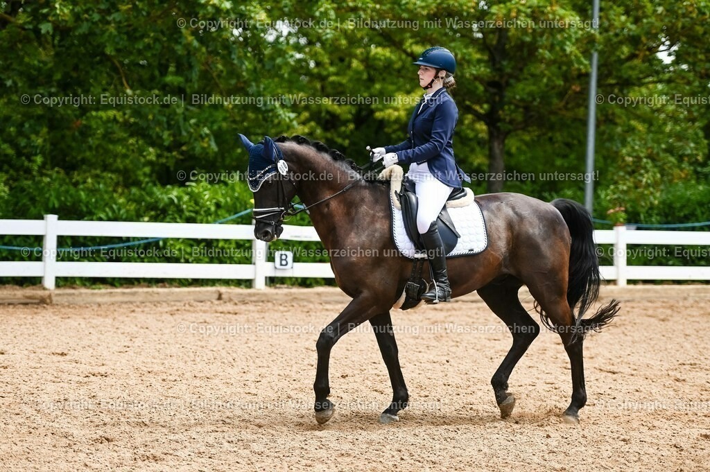20230716_03_Dressurprfg. Kl.L - Tr._0607 | equistock