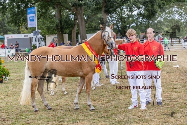 GK (142 von 372) | mandyhollmannphotographie