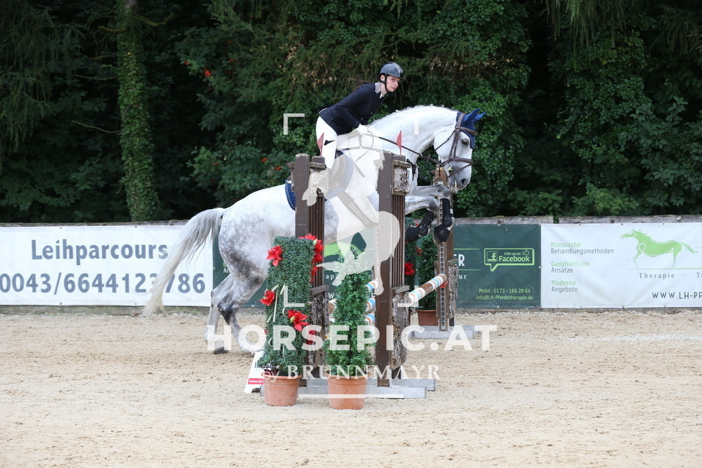 DL2Q4477 | Willkommen bei Brunnmayr - Design & Fotografie – Ihrem Spezialisten für Reitturniere und Pferdeveranstaltungen in Oberösterreich, Salzburg und Bayern! Seit über 17 Jahren sind wir leidenschaftlich dabei.
