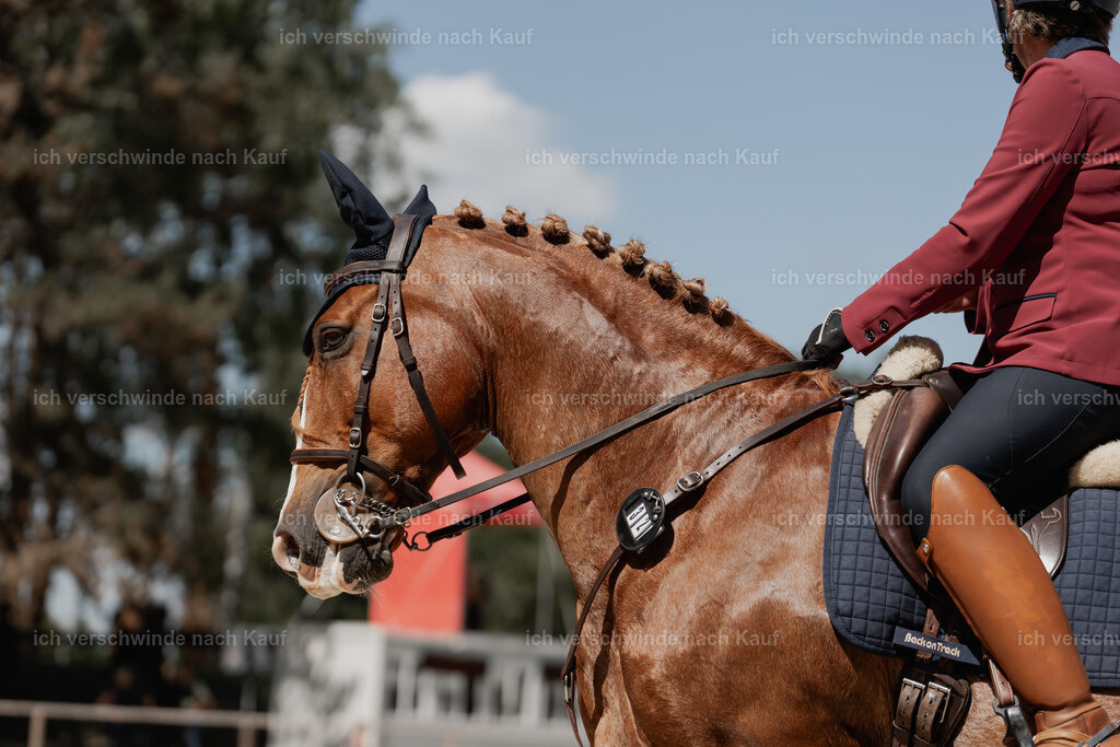 WE_ST_Stoib_323_PI2025_1415 | 330Pferd International München 2025